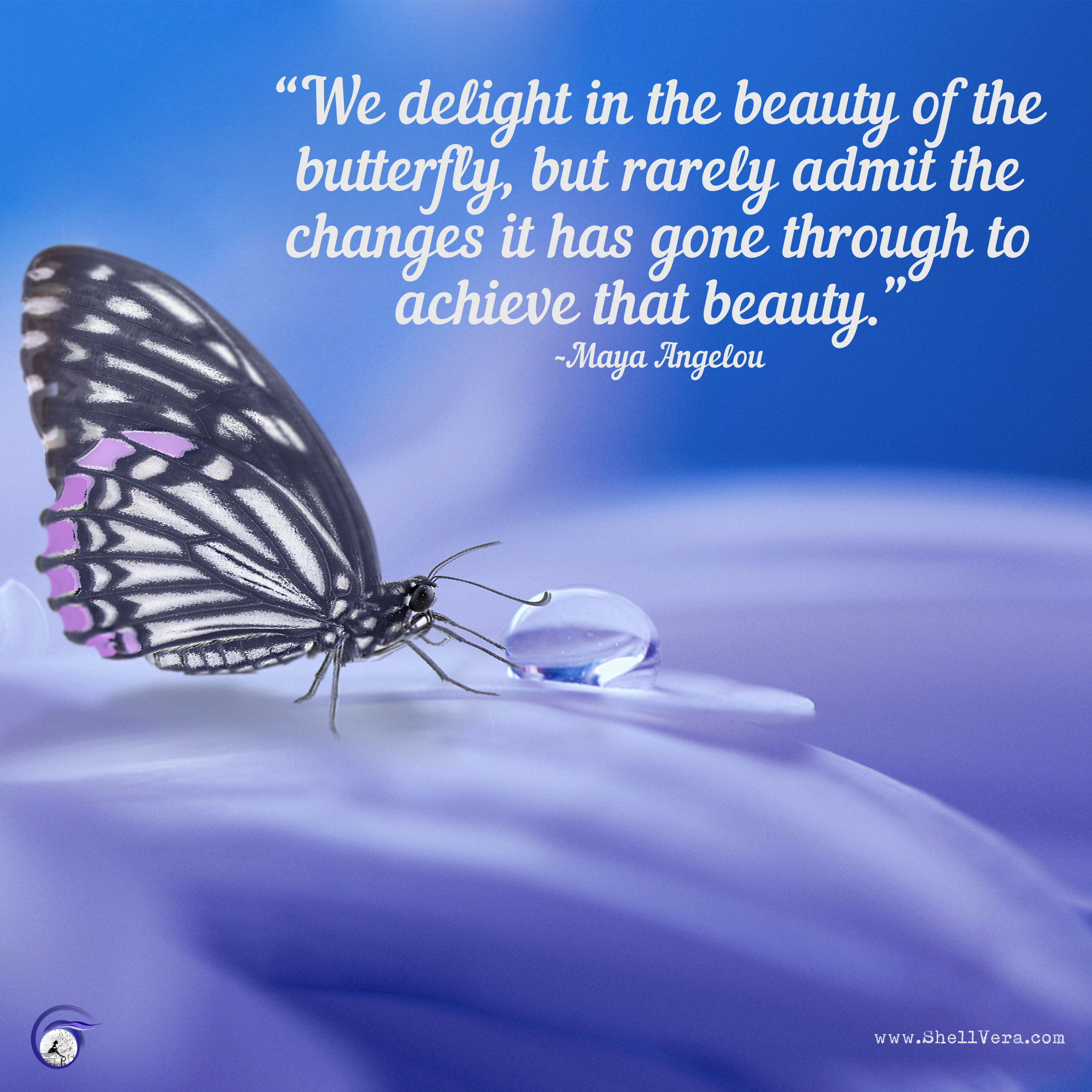 “We delight in the beauty of the butterfly, but rarely admit the changes it has gone through to achieve that beauty.”
~Maya Angelou
Quote over a picture of a butterfly with a drop of water on a flower