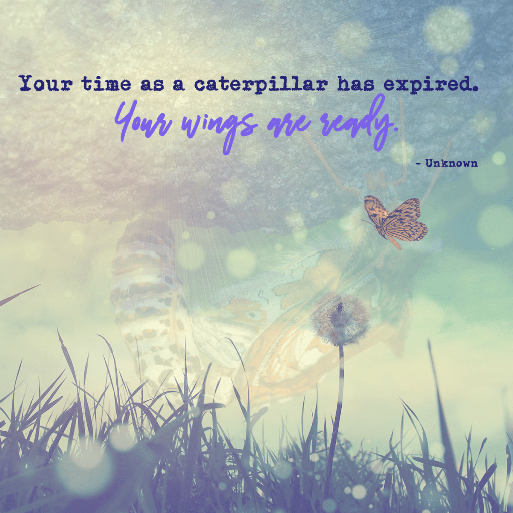 Your time as a caterpillar has expired. Your wings are ready. -Unknown
Overlaid over a picture of metamorphosis and a butterfly flying.